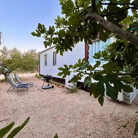 Campsite Maris Mobile *